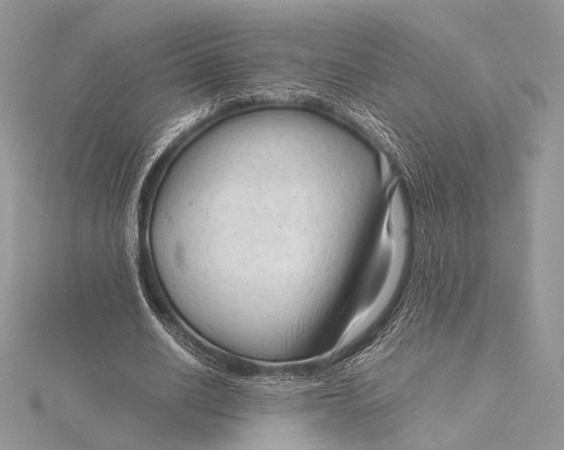 X0000115820630200912041628