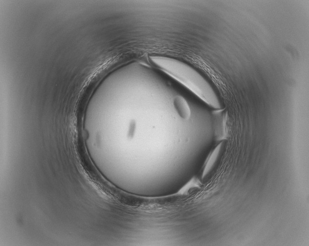 X0000115820634200912041628