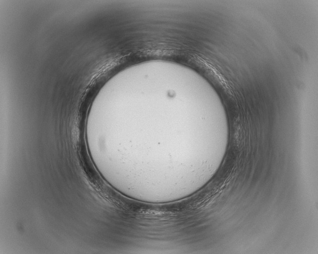 X0000115820635200912041628