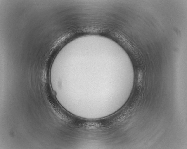 X0000115820636200912041628