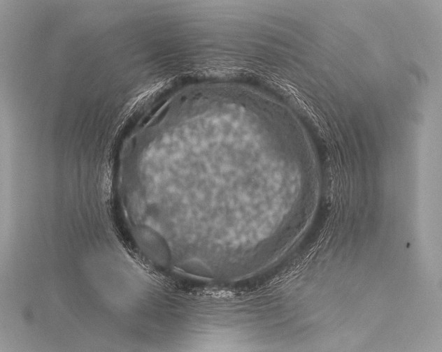 X0000115820640200912041628