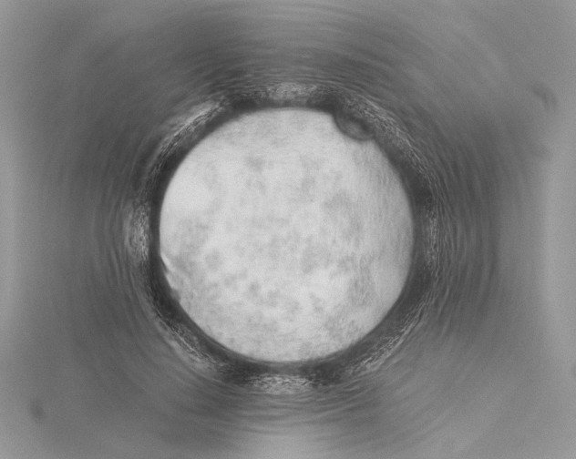 X0000115820644200912041628