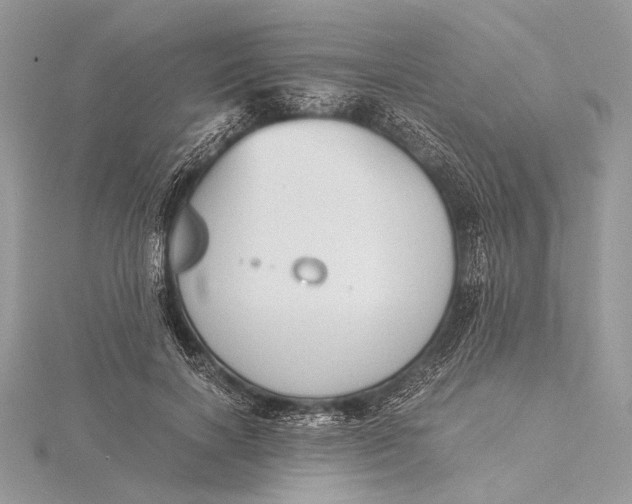 X0000115820646200912041628