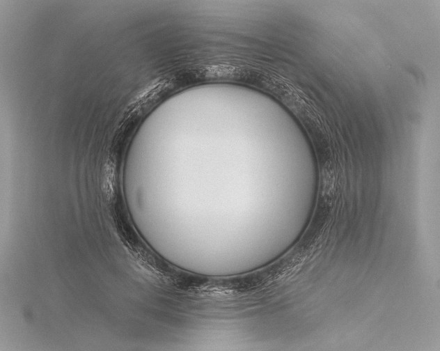 X0000115820648200912041628