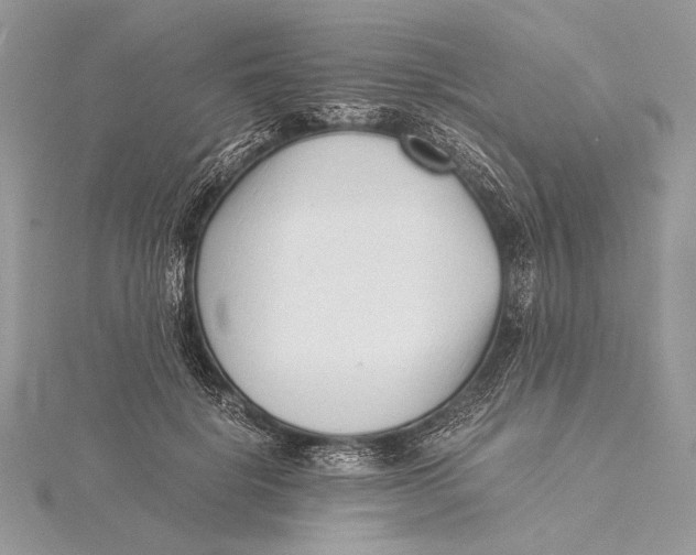 X0000115820652200912041628