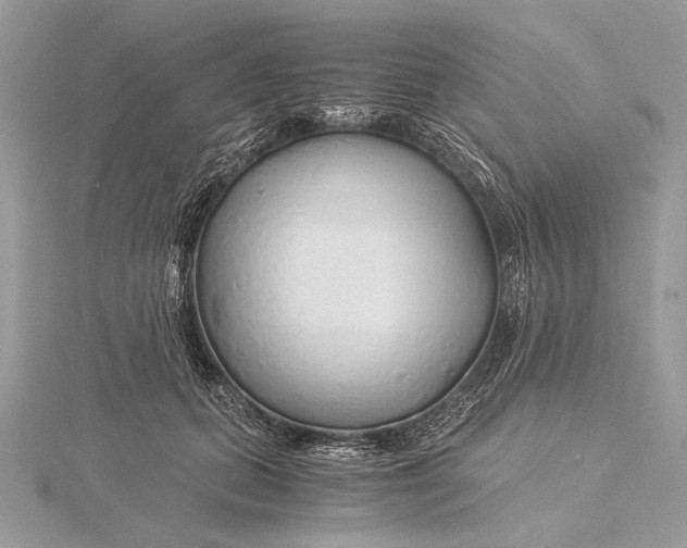 X0000115820655200912041628