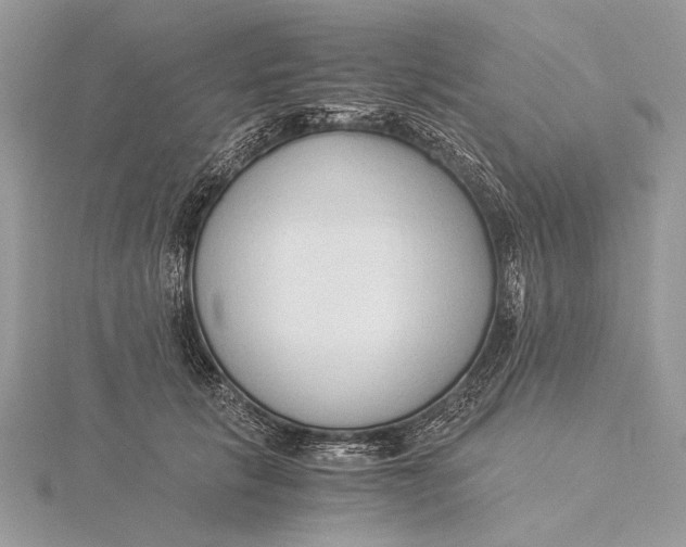 X0000115820657200912041628