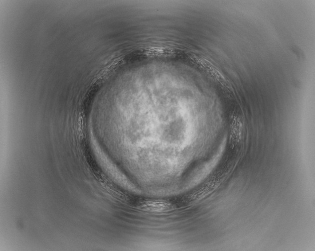 X0000115820659200912041628