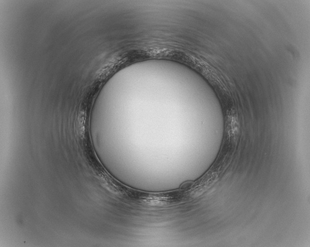 X0000115820664200912041628