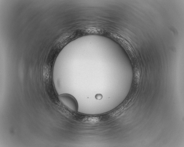 X0000115820665200912041628