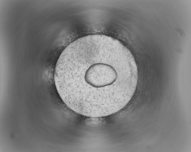 X0000115820672200912041628