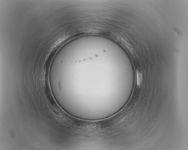 X0000115820675200912041628