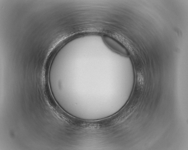 X0000115820676200912041628