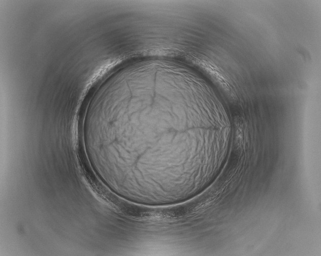 X0000115820678200912041628