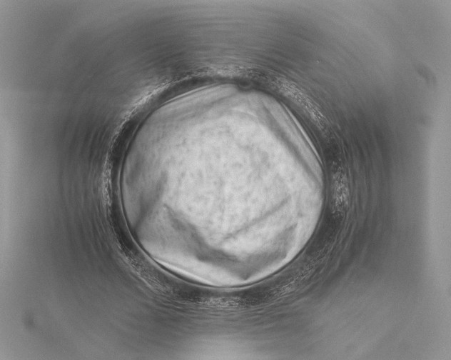 X0000115820680200912041628