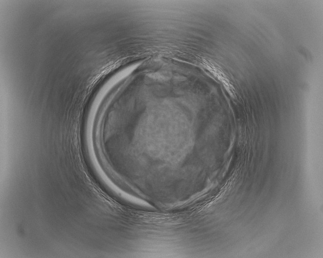 X0000115820681200912041628