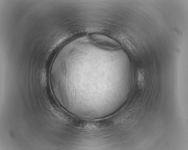 X0000115820684200912041628