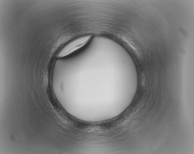 X0000115820685200912041628