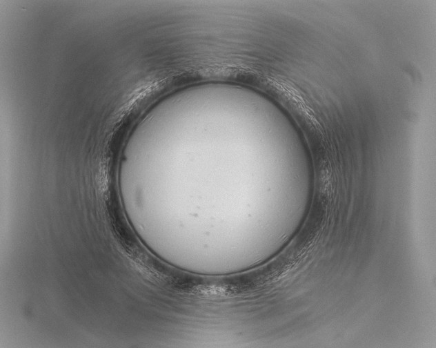 X0000115820687200912041628