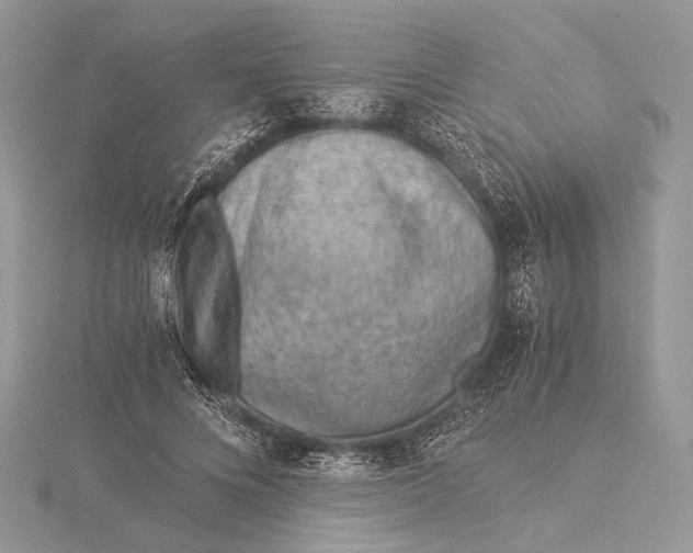 X0000115820688200912041628