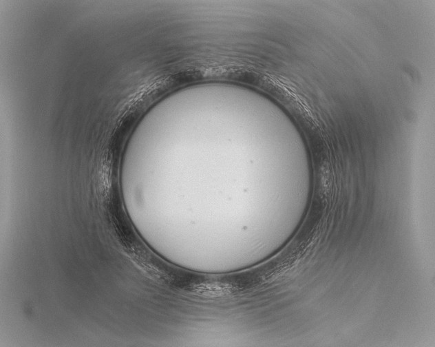 X0000115820691200912041628