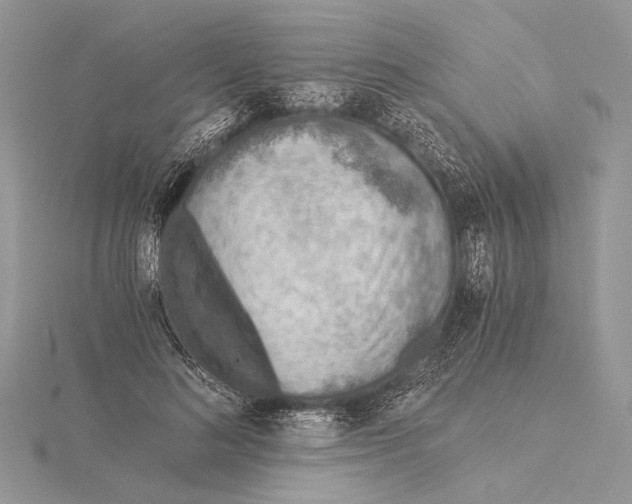 X0000115820692200912041628