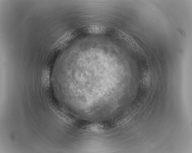 X0000115820696200912041628