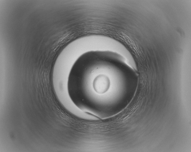 X0000115820697200912041628