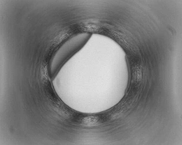 X0000115820700200912041627