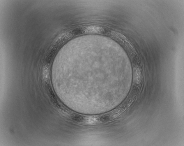 X0000115820701200912041627