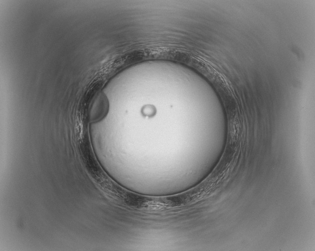 X0000115820703200912041627