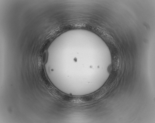 X0000115820704200912041627