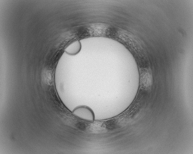 X0000115820709200912041627