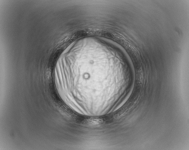 X0000115820711200912041627