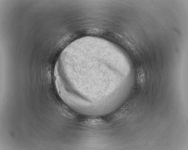 X0000115820716200912041627