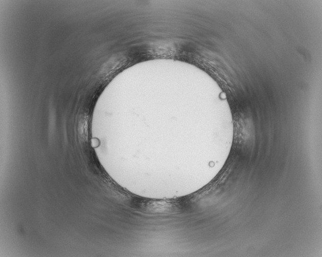 X0000115820717200912041627