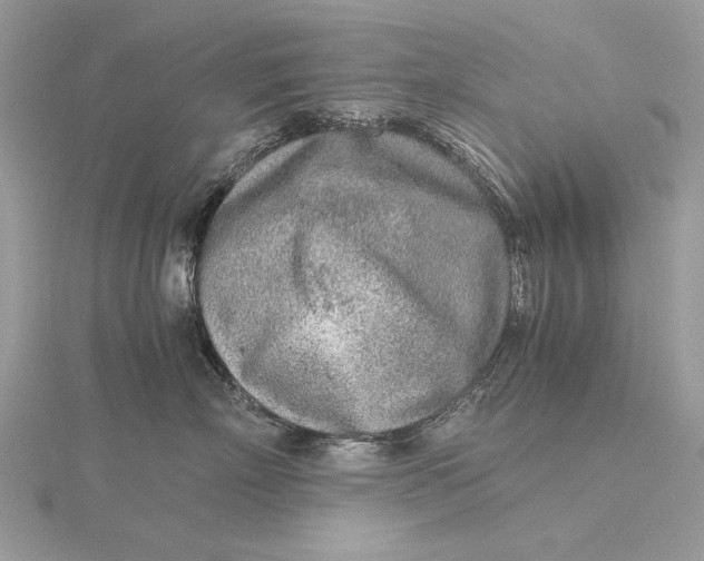 X0000115820718200912041627