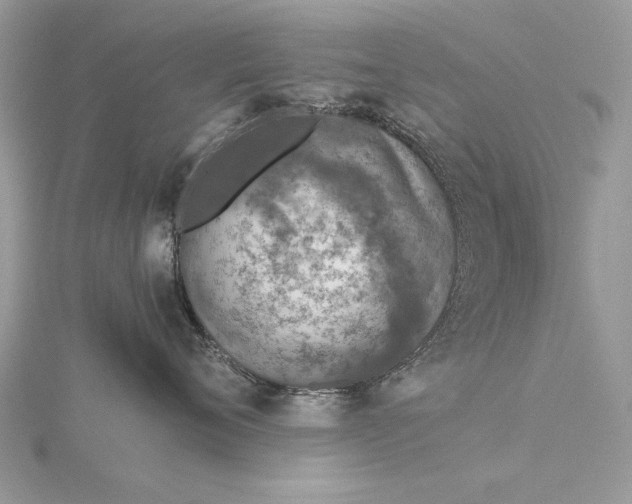 X0000115820720200912041627