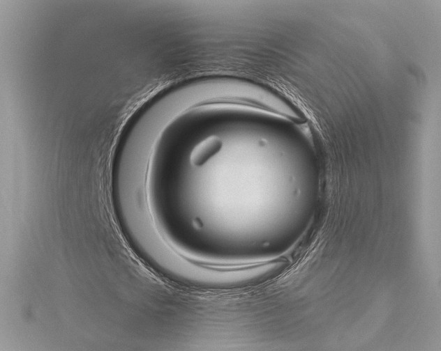 X0000115820721200912041627