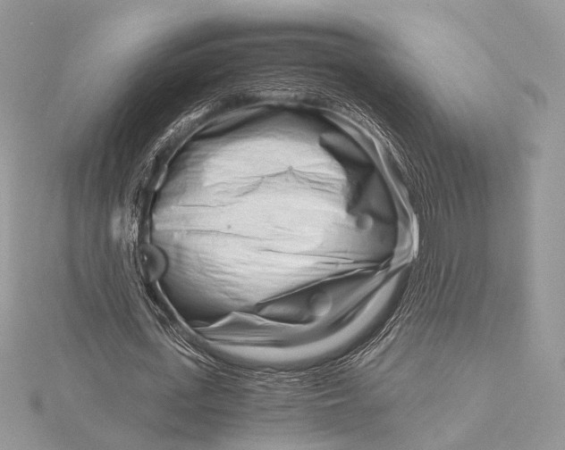 X0000115820723200912041627