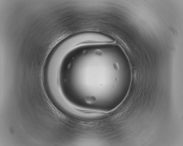 X0000115820725200912041627