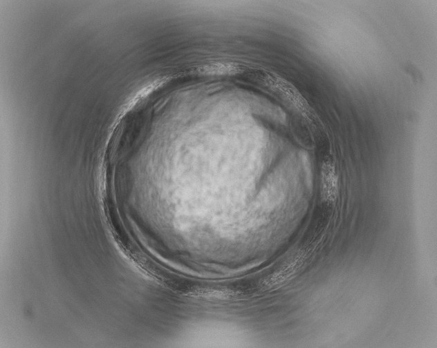 X0000115820726200912041627