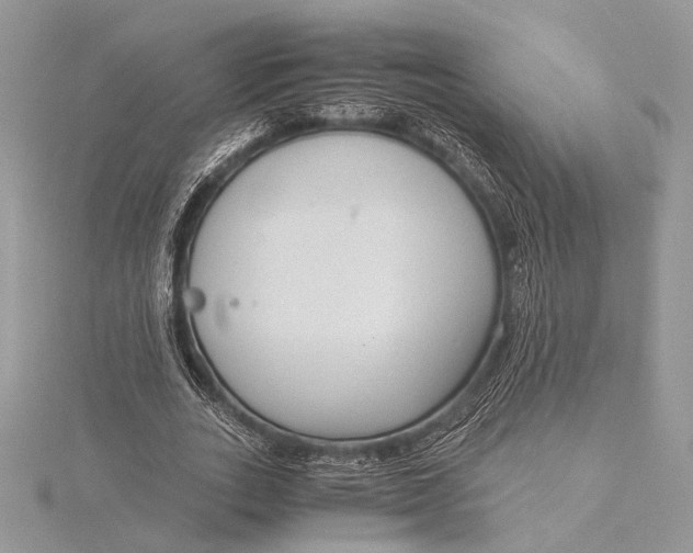 X0000115820727200912041627