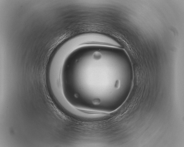 X0000115820729200912041627