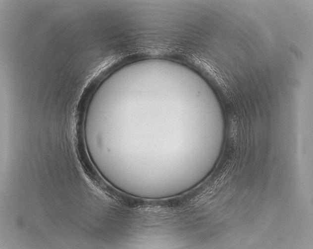 X0000115820730200912041627