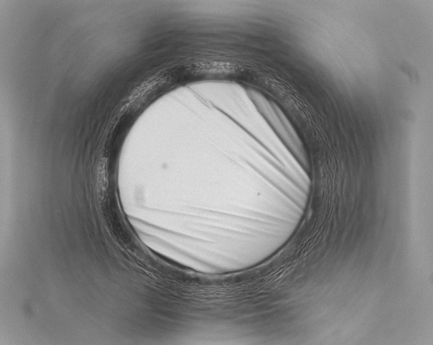 X0000115820731200912041627