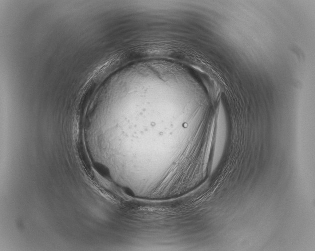 X0000115820733200912041627