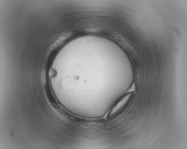 X0000115820734200912041627