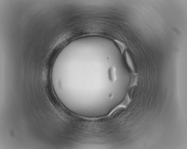 X0000115820735200912041627