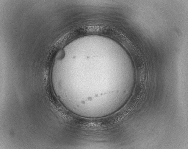 X0000115820737200912041627